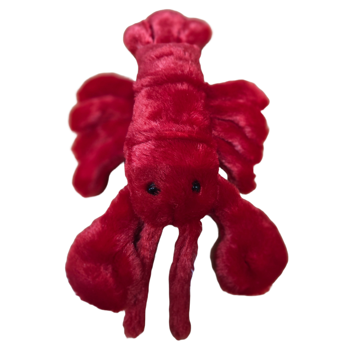 Sheldon the Canned Lobster