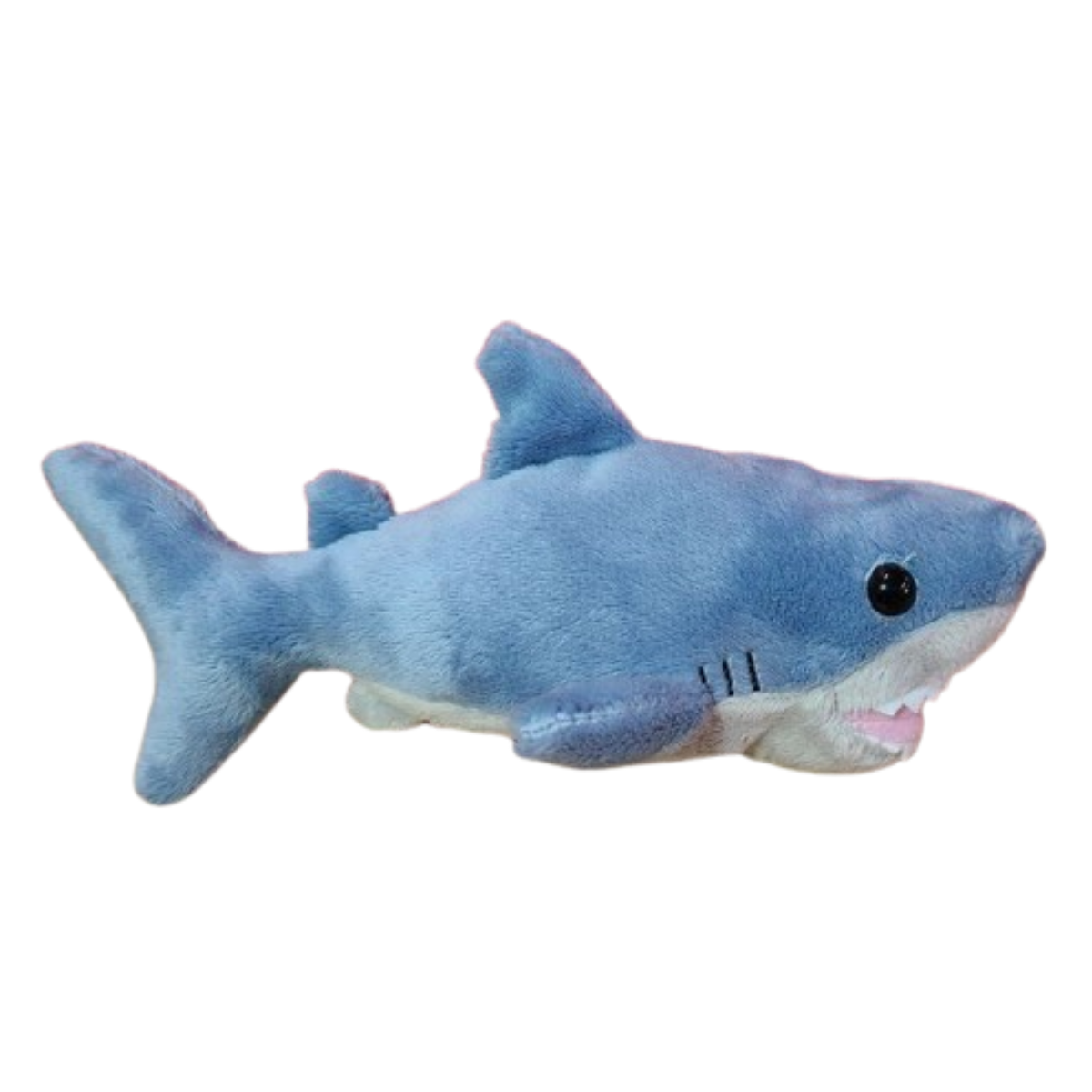 Canned Shark