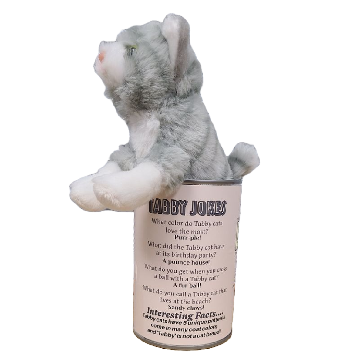 Canned Gray Tabby | Rescue Cat | Eco-Friendly Recycled Gift