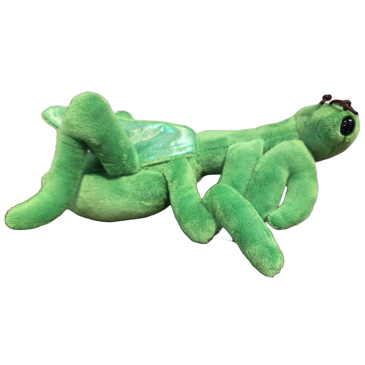 Canned Praying Mantis