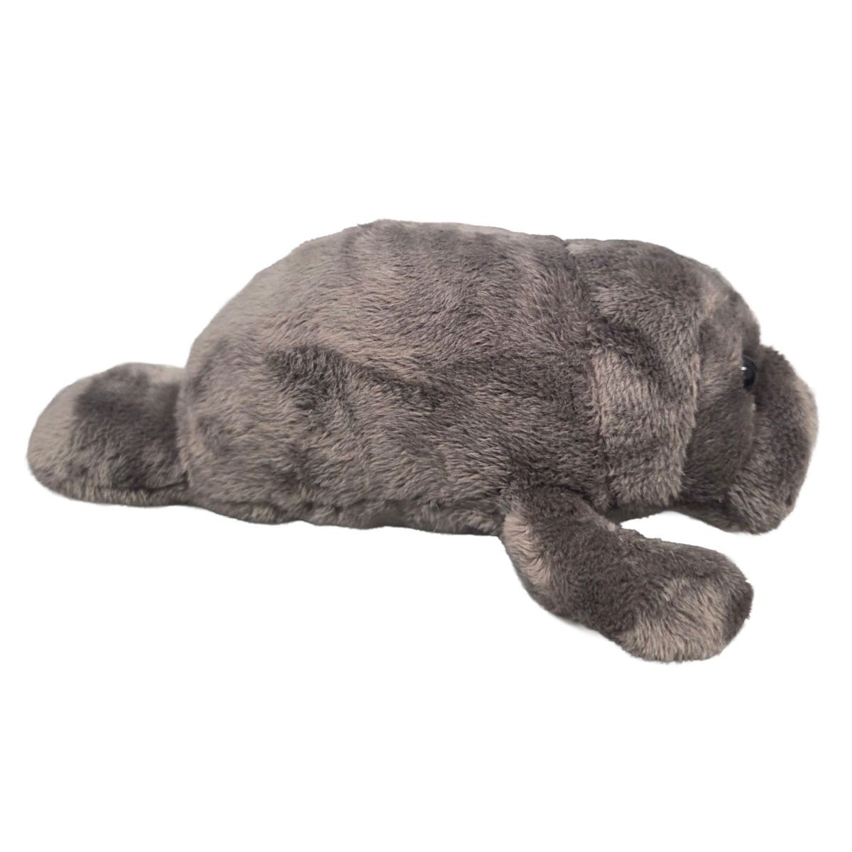 Becky the Canned Manatee