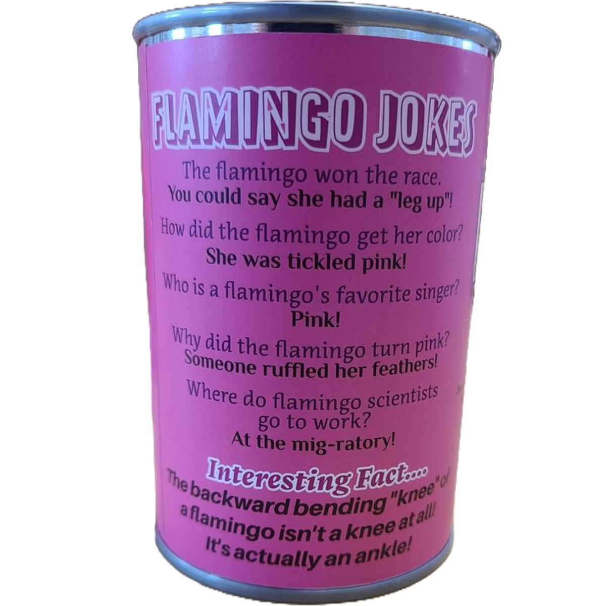 Rosy the Canned Flamingo