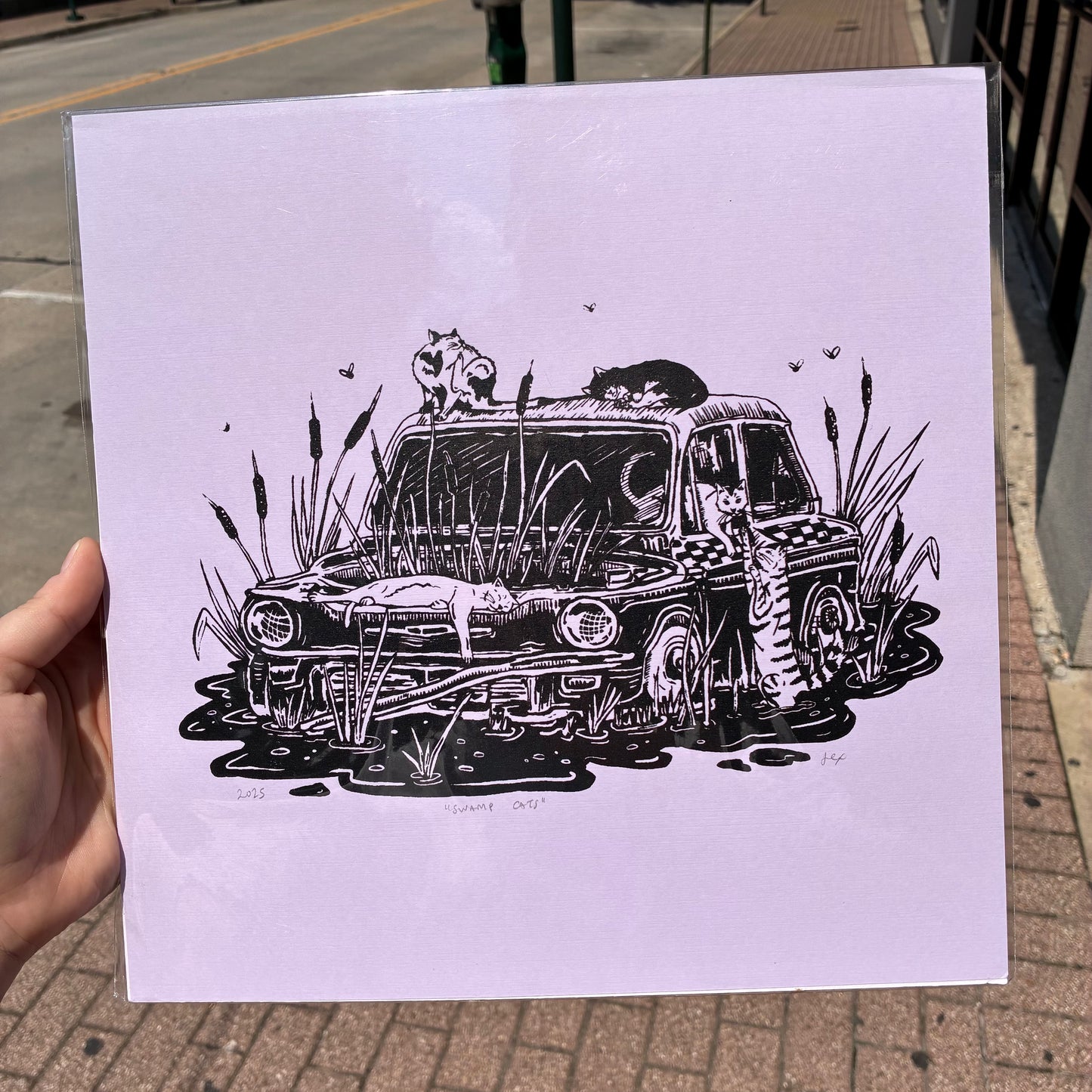 Swamp Cats