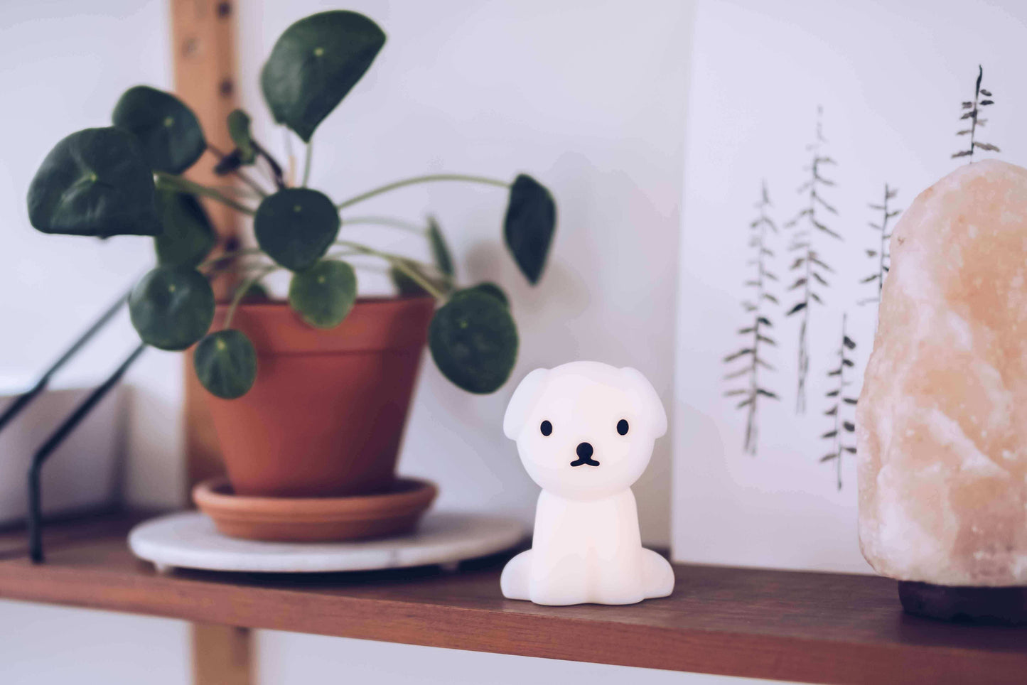 Snuffy Bundle of Light