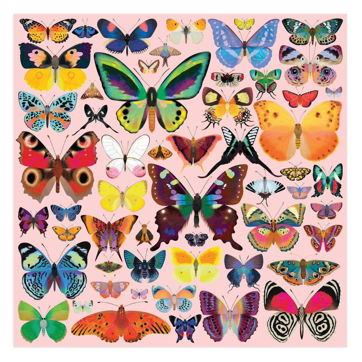 Brilliant Butterflies 500 Piece Family Puzzle