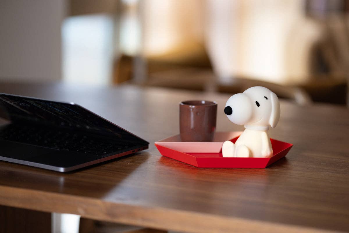 Snoopy Bundle of Light