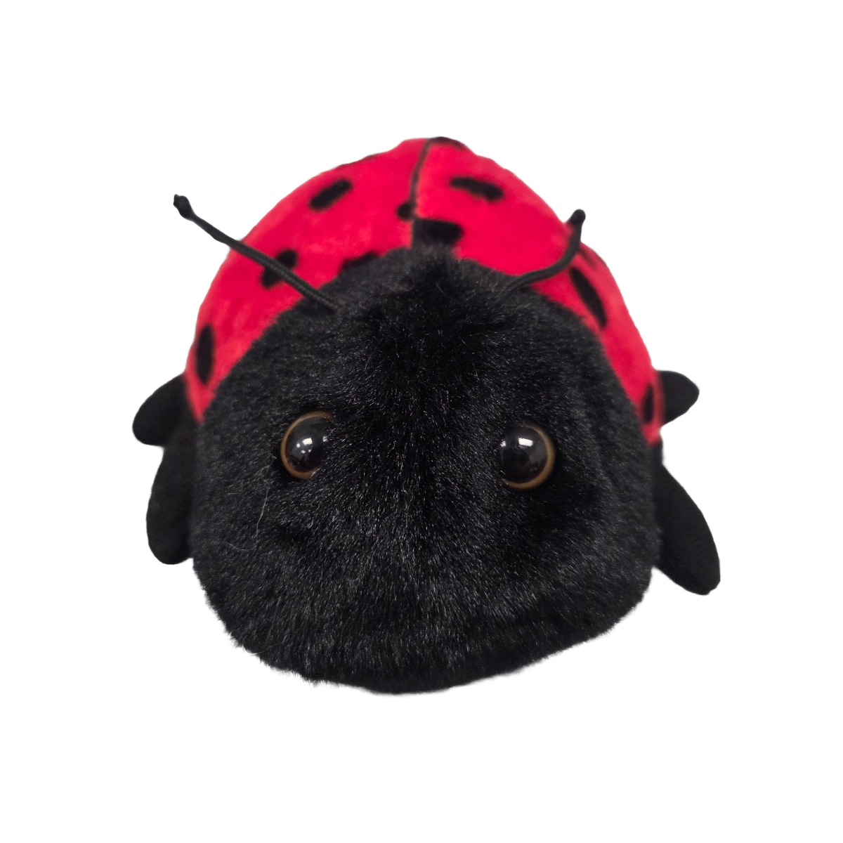 Canned Ladybug
