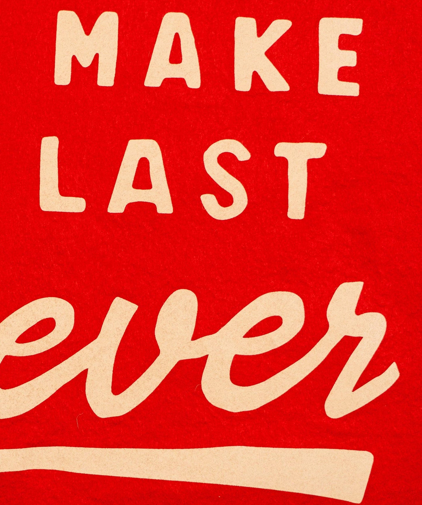 Let's Make This Last Forever Camp Flag • Blink-182