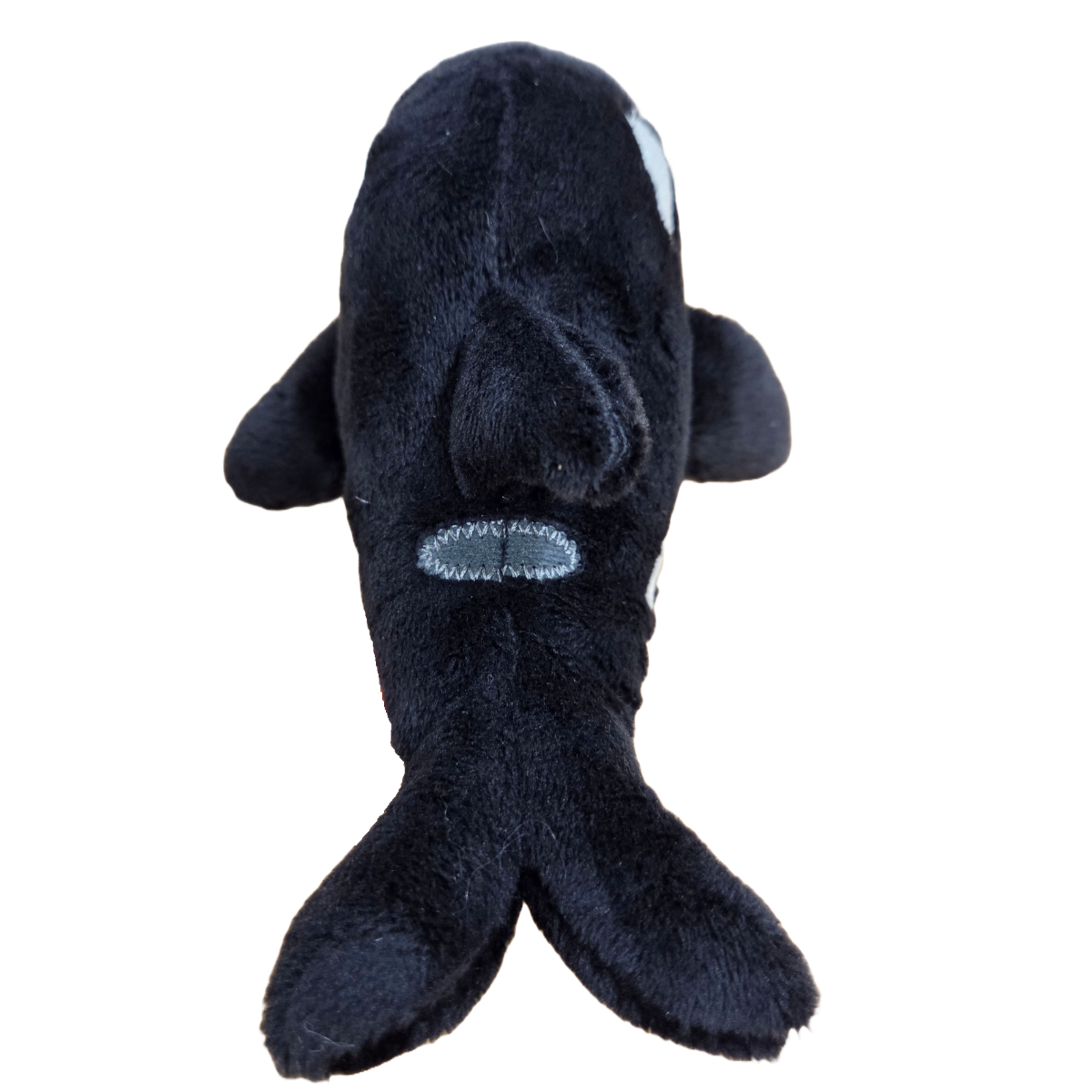 Finley the Canned Orca