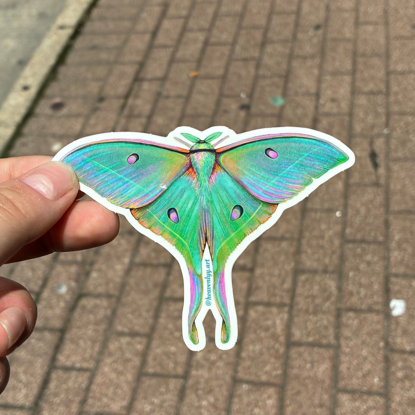 Luna Moth Sticker