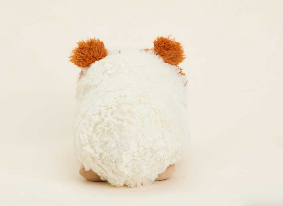 Guinea Pig Warmies