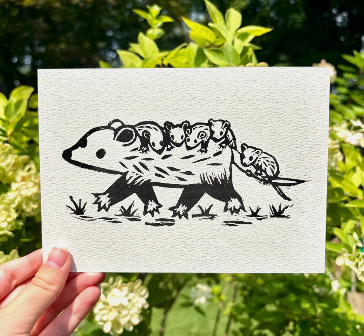 Opossum Linocut Block Print