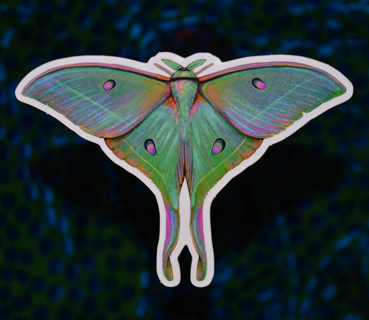 Luna Moth Sticker