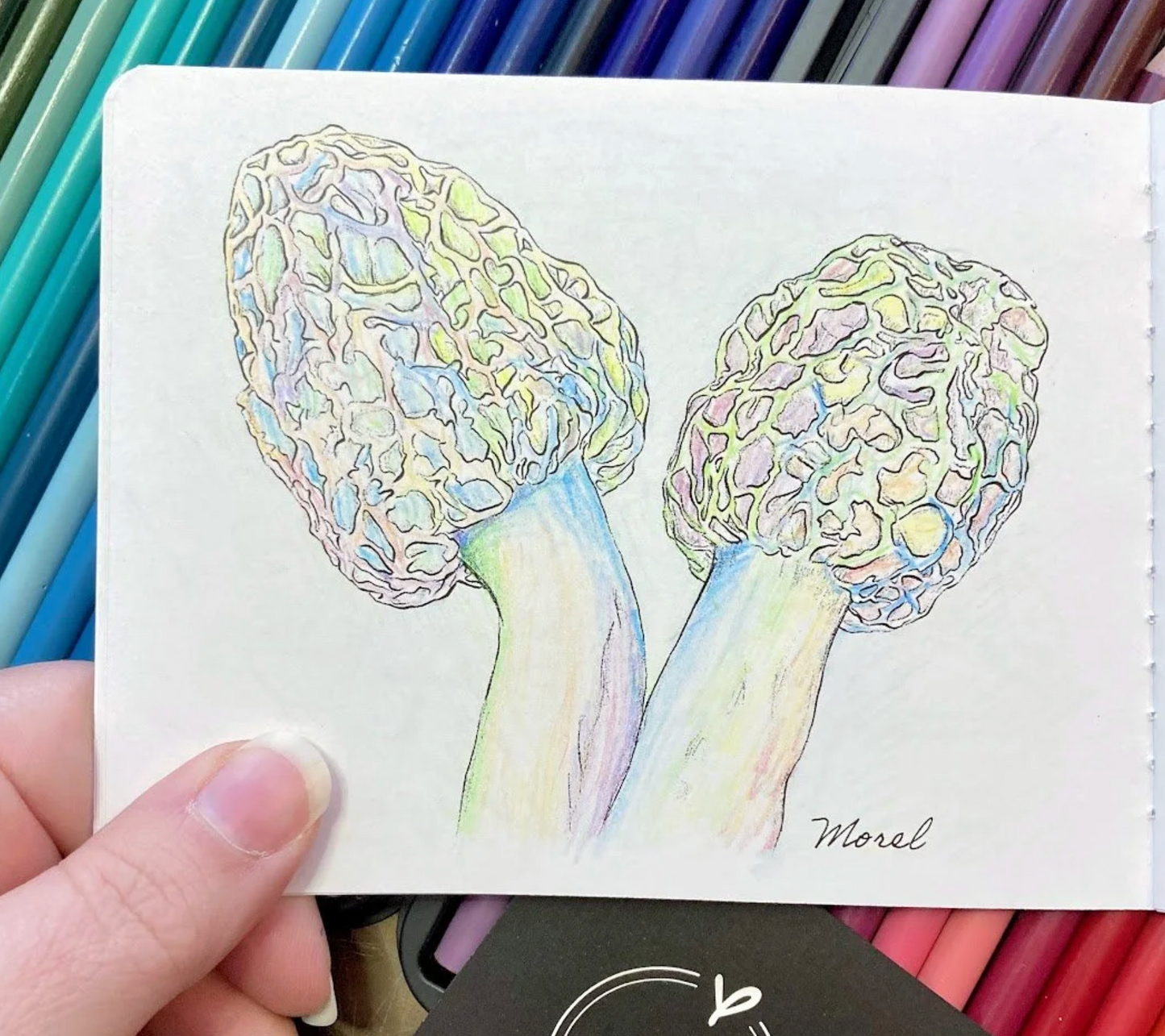 Mini Coloring Book- Mushrooms