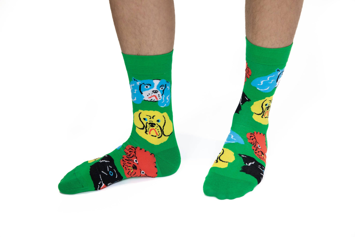 Kristina Micotti Dogs Socks- Men's Size