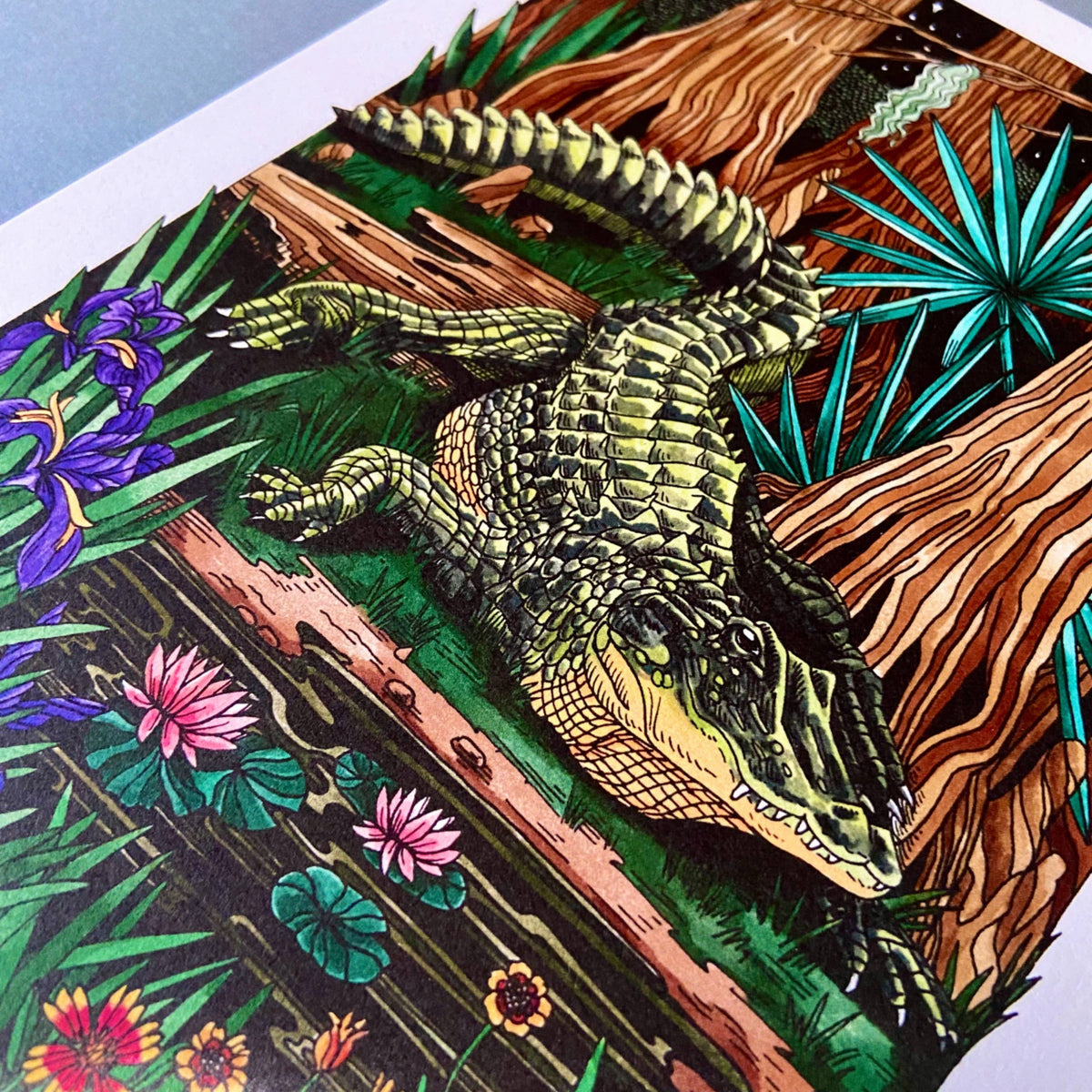 8 x 10 Alligator Art Print