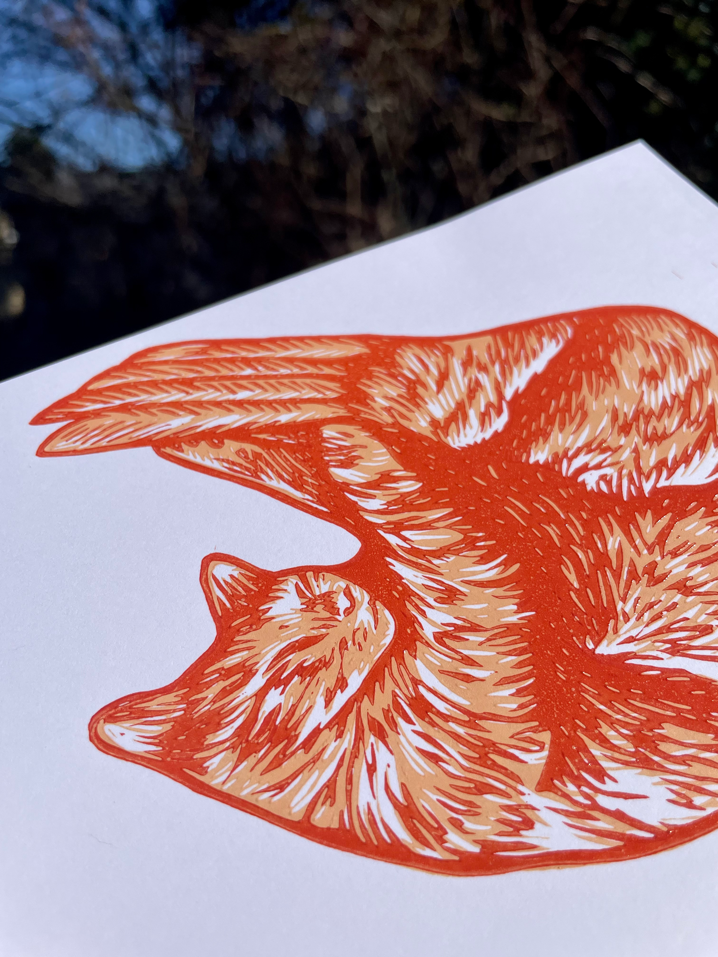 Shrimp Cat Linocut Print