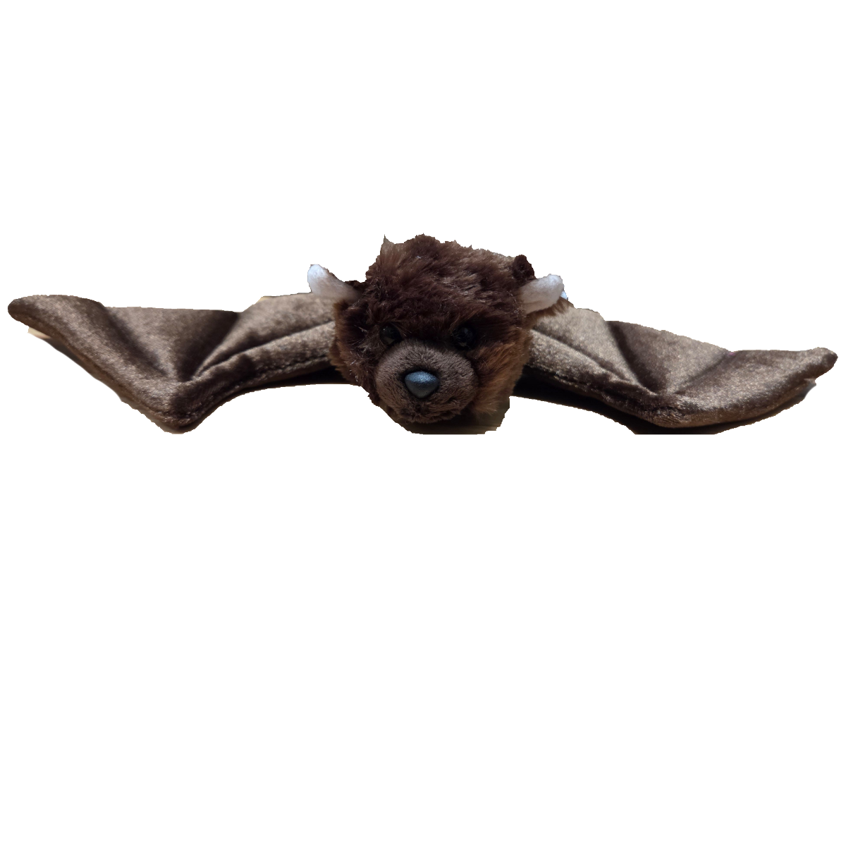 Mochi the Canned Bat