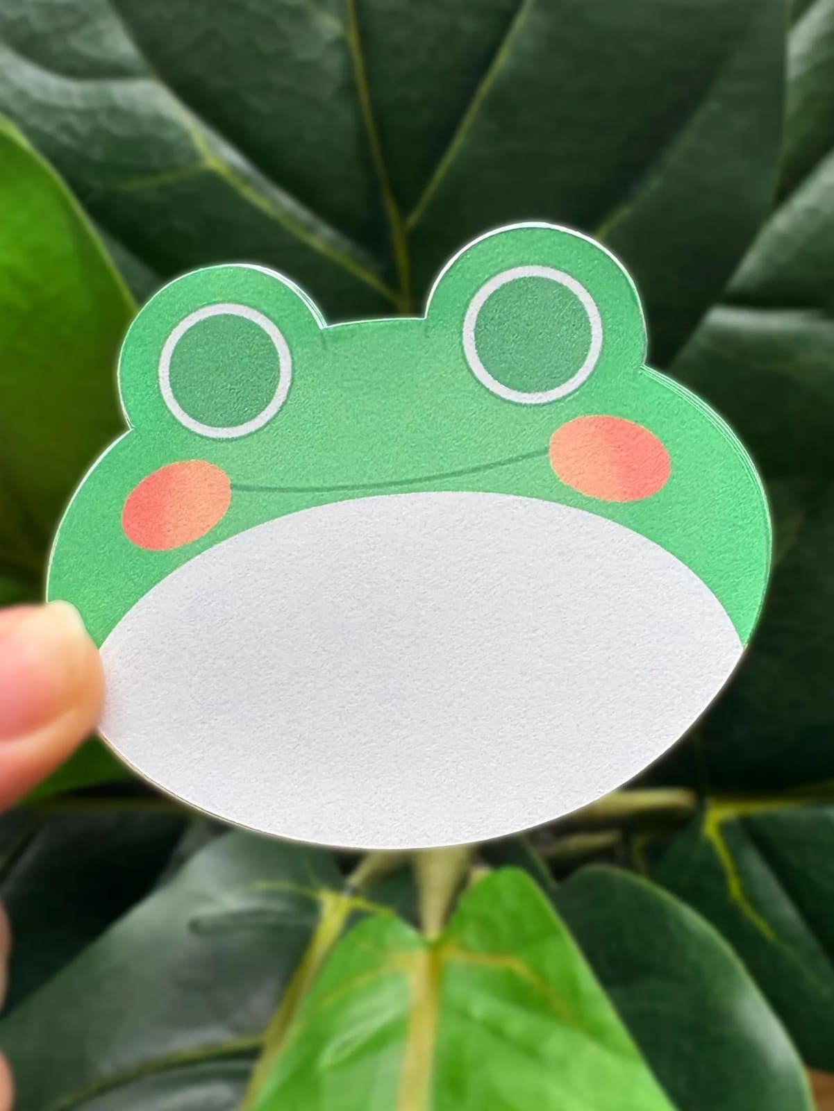 Handmade Froggy Memo Pad
