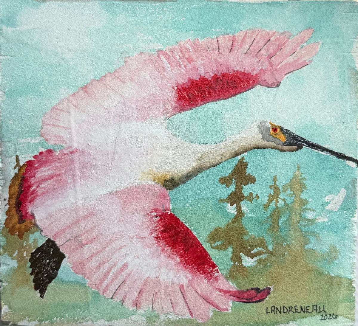 Pink Passage Roseate Spoonbill Print