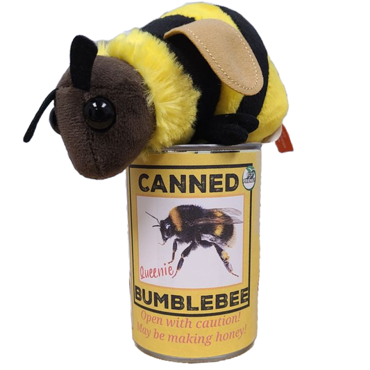 Queenie the Canned Bumblebee