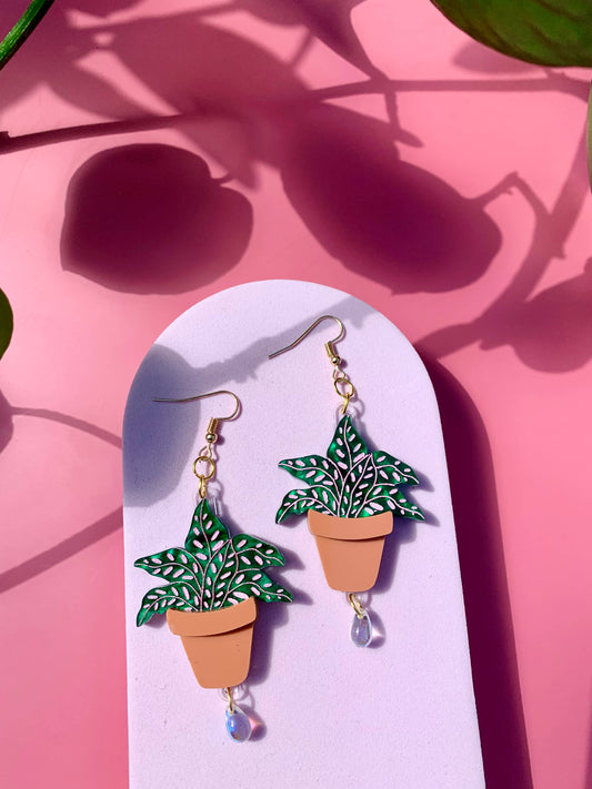 Terracotta Plant Earrings