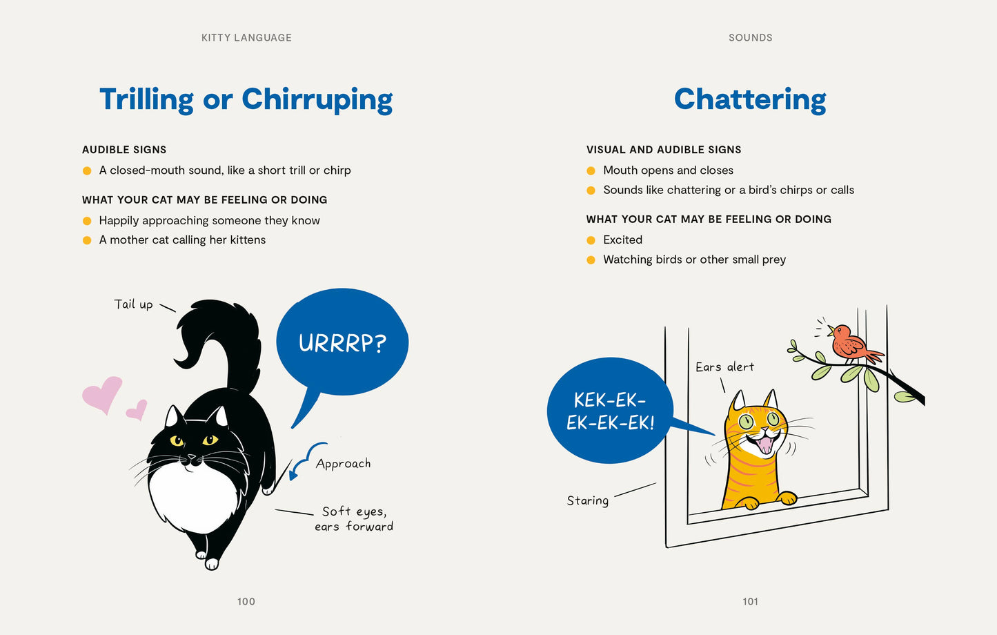 Kitty Language