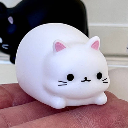 Cat Squeaky Toys