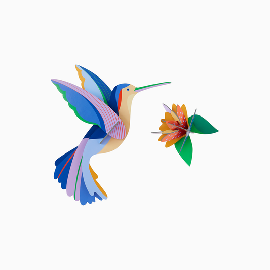 3D Wall Art - Paradise Bird - Hummingbird