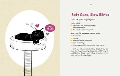 Kitty Language