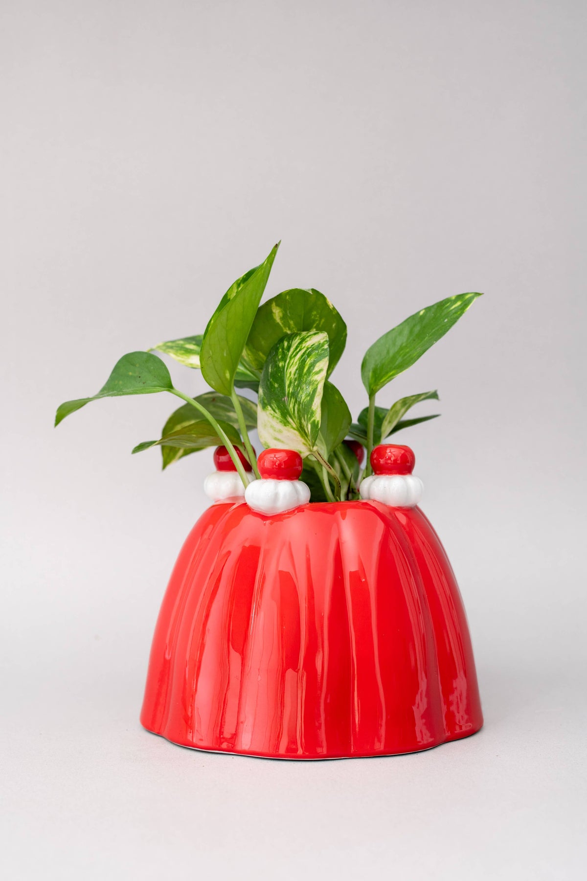 Ceramic Vase, Jello