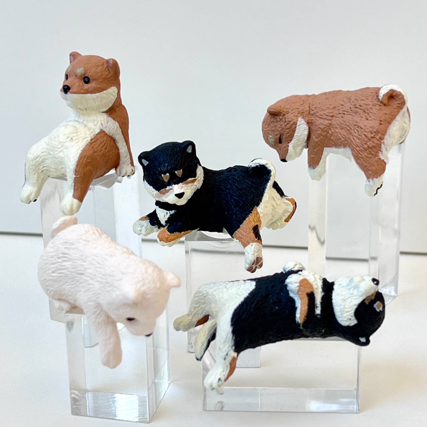 Playful Hanging Shiba Blind Box