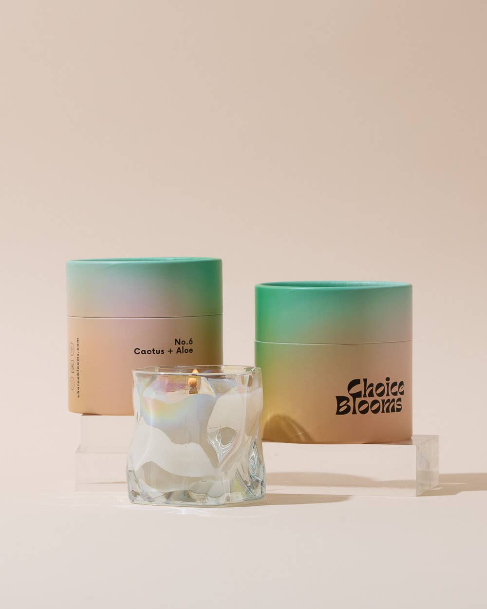7.2oz. No. 6 Cactus + Aloe Candle