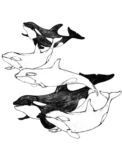 Orcas Babe Baby Doll Tee