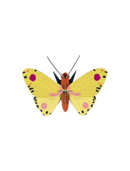3D Wall Art - Butterfly - Luzerne Butterfly
