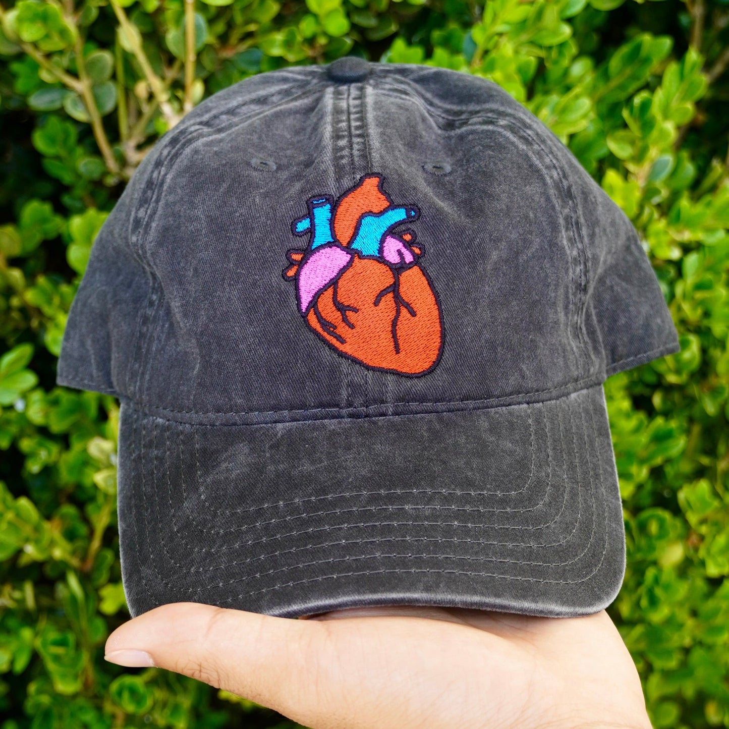 Anatomical Heart Hat