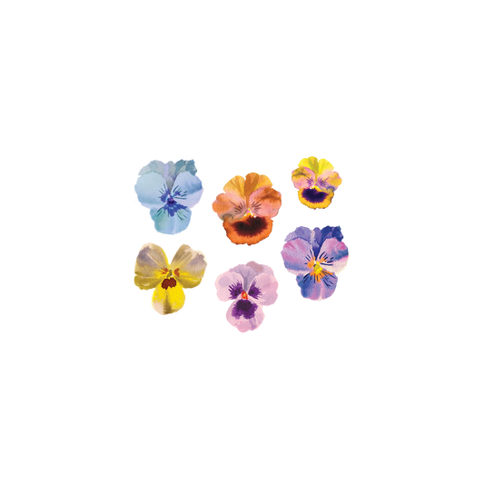 Pansies Tattoo Pair