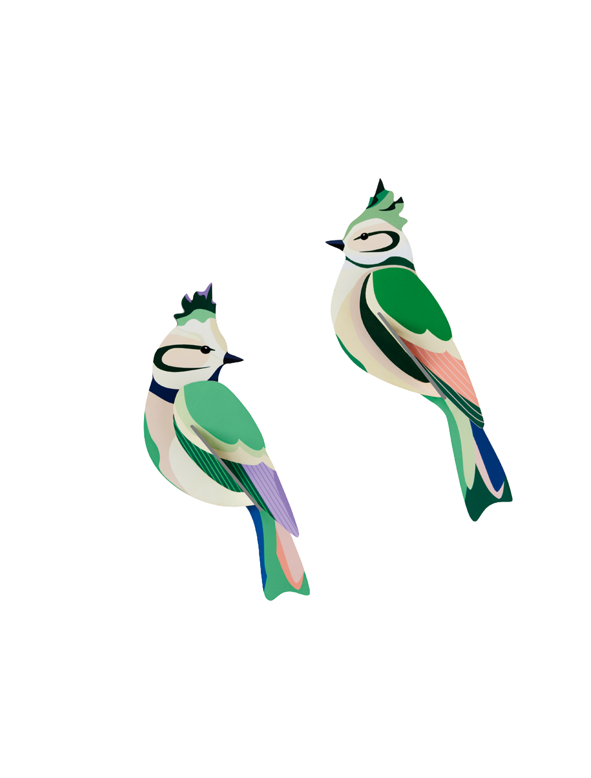 3D Wall Art - Garden Birds - Forest Crests