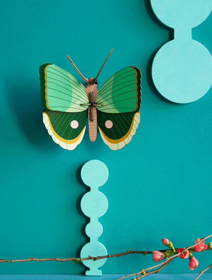 3D Wall Art - Butterfly - Fern Striped Butterfly