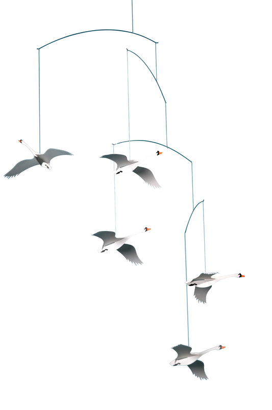 Scandinavian Swans