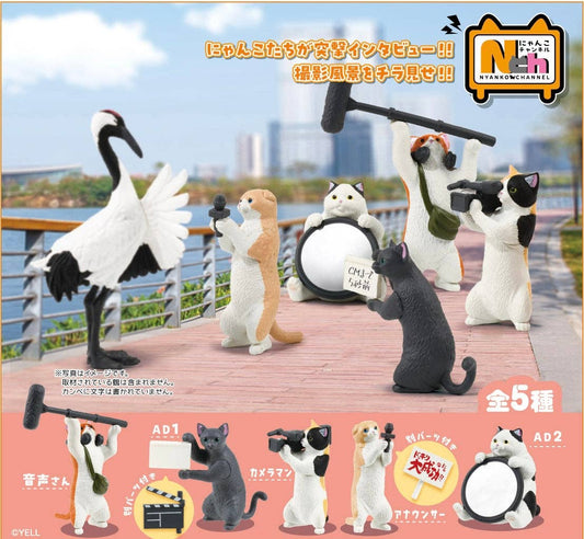 Social Media Cat Blind Box