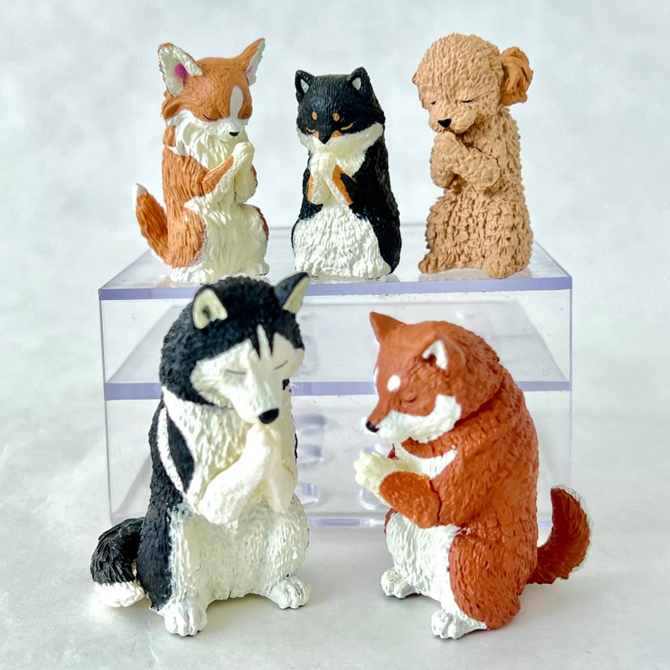 Wishing Dogs Vol. 2 Blind Box