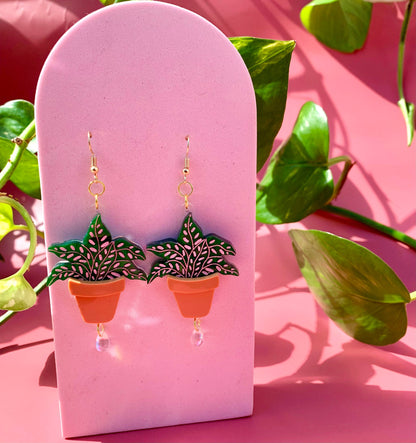 Terracotta Plant Earrings