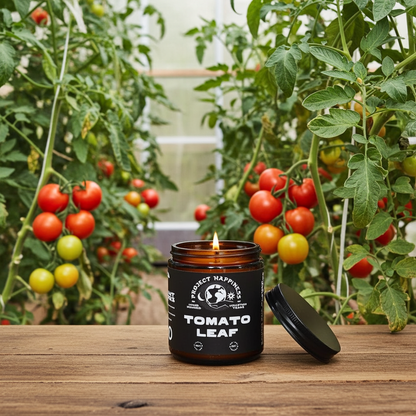 Tomato Leaf Soy Candle - 8oz