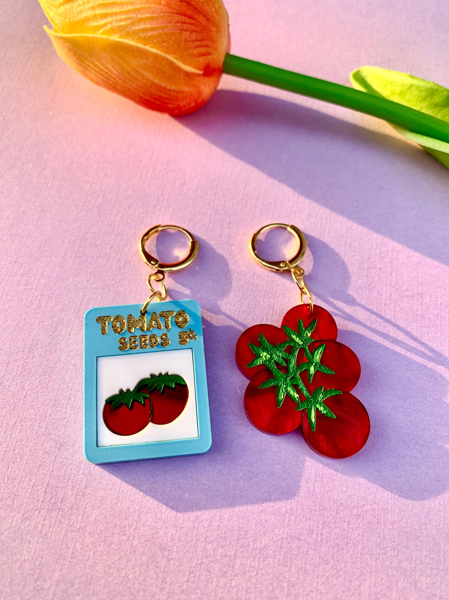 Tomato Seeds Earrings