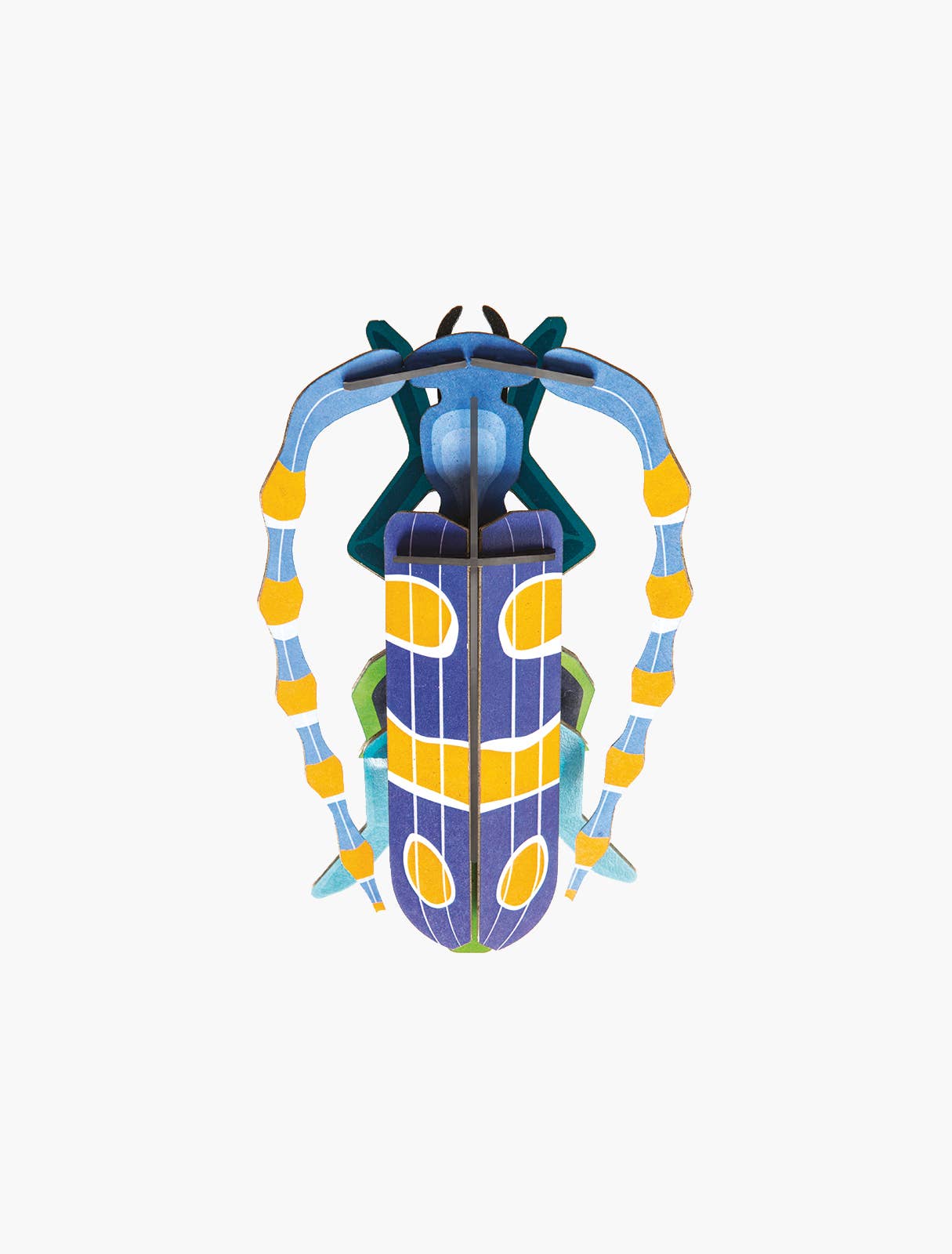 3D Wall Art - Insect - Rosalia Beetle