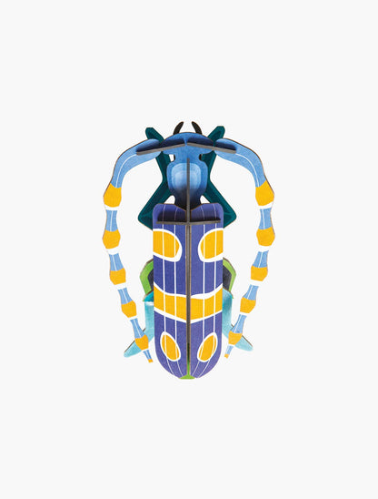 3D Wall Art - Insect - Rosalia Beetle