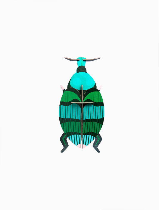 3D Wall Art - Insect - Weevil beetle