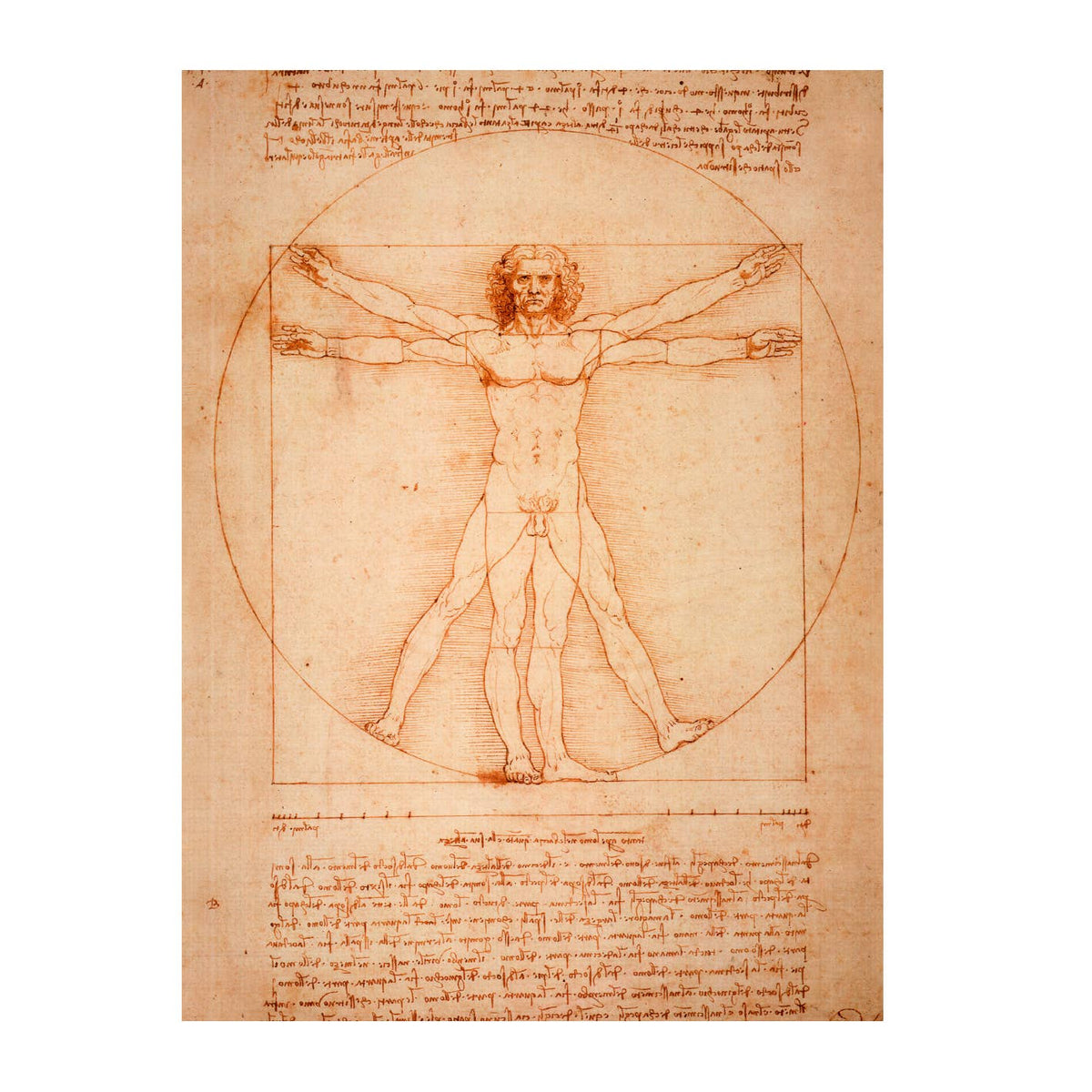 Artist journal sketchbook, Da Vinci, Vitruvian man