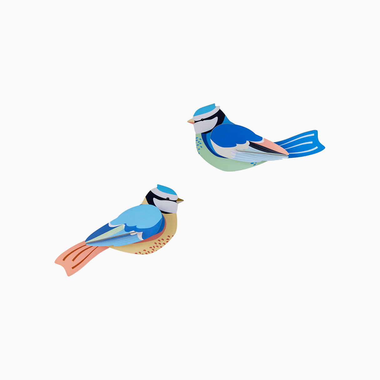 3D Wall Art - Garden Birds - Blue Tits